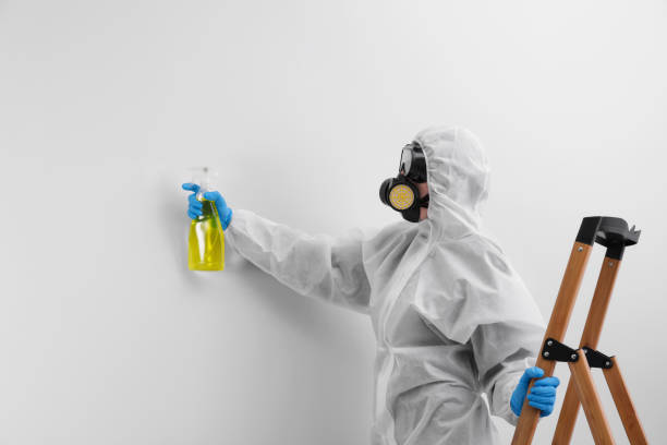 Why You Should Choose Our Mold Remediation Services in Montello, WI