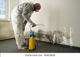 Montello, WI Mold Inspection Company